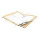 Alèse Wings™ Plus à absorption maximale