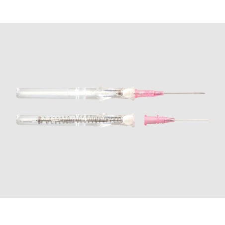 BD Insyte Autoguard Catheter, Winged