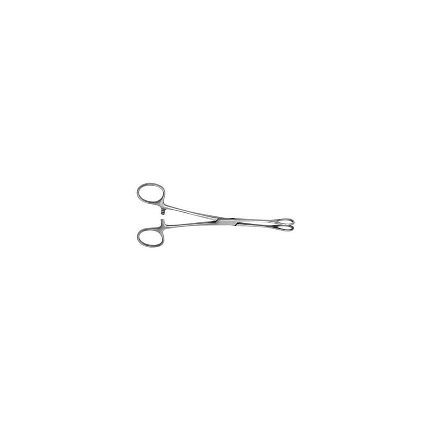 Pince à éponge Foester, droite, 9-1/2"