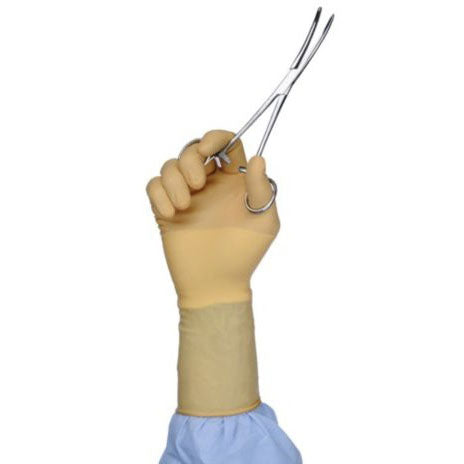 Protexis Neoprene Surgical Gloves