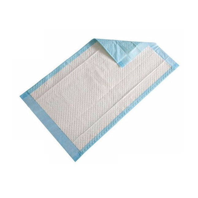 Alèse Cardinal Health™ Standard, absorption modérée