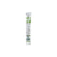 Coton-tige buccal Toothette® Plus, avec bicarbonate de sodium