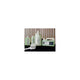 Disinfectant Cleanser, All Purpose, for Tub