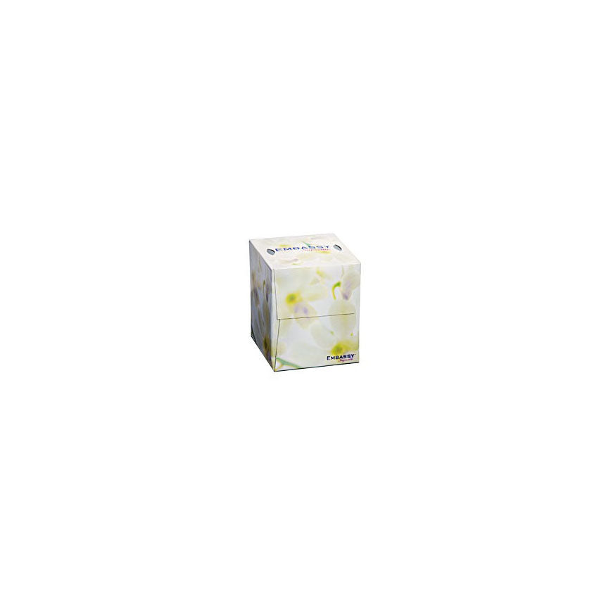 Embassy 2-Ply Facial Tissue